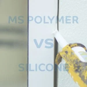 MS vs Silicone